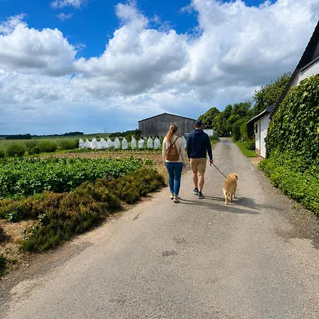 Chez Leone Holiday home